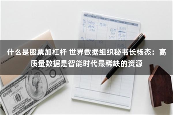 什么是股票加杠杆 世界数据组织秘书长杨杰：高质量数据是智能时代最稀缺的资源