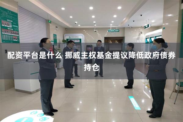 配资平台是什么 挪威主权基金提议降低政府债券持仓