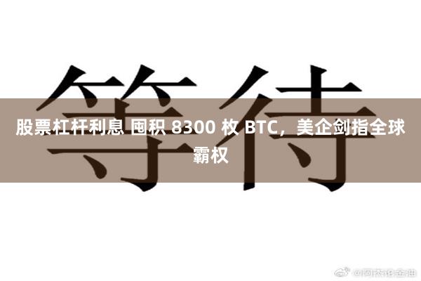 股票杠杆利息 囤积 8300 枚 BTC，美企剑指全球霸权