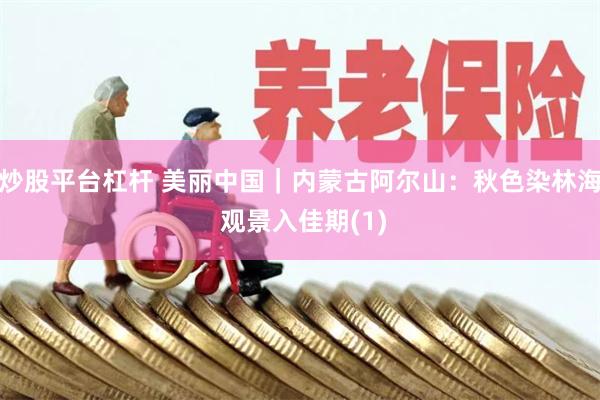 炒股平台杠杆 美丽中国｜内蒙古阿尔山：秋色染林海 观景入佳期(1)