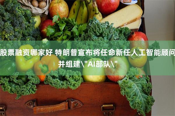 股票融资哪家好 特朗普宣布将任命新任人工智能顾问并组建