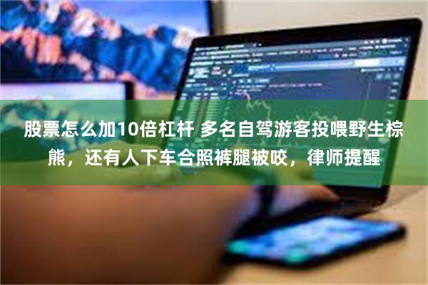 股票怎么加10倍杠杆 多名自驾游客投喂野生棕熊，还有人下车合照裤腿被咬，律师提醒