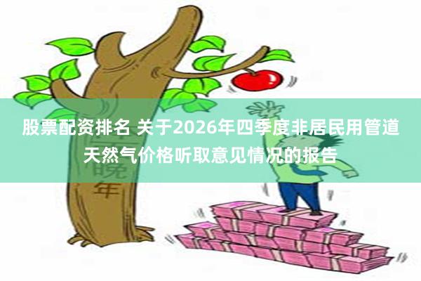 股票配资排名 关于2026年四季度非居民用管道天然气价格听取意见情况的报告