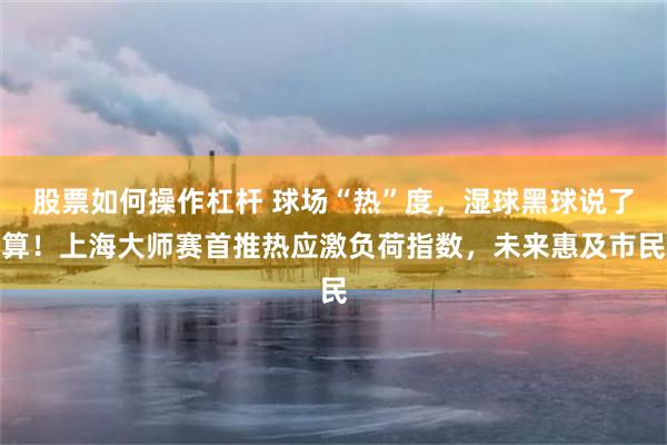股票如何操作杠杆 球场“热”度，湿球黑球说了算！上海大师赛首推热应激负荷指数，未来惠及市民