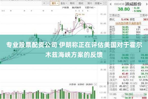 专业股票配资公司 伊朗称正在评估美国对于霍尔木兹海峡方案的反馈